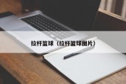 拉杆篮球（拉杆篮球图片）