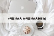 5号篮球多大（5号篮球多大参照物）