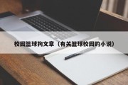 校园篮球狗文章（有关篮球校园的小说）