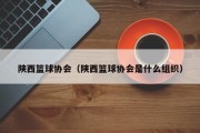 陕西篮球协会（陕西篮球协会是什么组织）